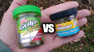 Gulp Minnow vs PowerBait Honey Worm  Which Bait Catches More Fish [upl. by Rhyner]