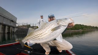 Multi Species Madness Fishing At The Dam [upl. by Aiseneg]