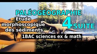 1BAC sc BIOF Etude morphoscopique des sédiments partie2 [upl. by Sorenson]