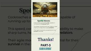 cockroach cockroach movement scibioexplorer [upl. by Weinman352]