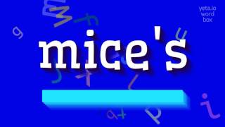 HOW TO PRONOUNCE MICES [upl. by Dallon436]