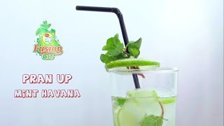 PRAN Up Fusion Cafe  Mint Havana মিন্ট হাভানা  How to Make Lemonade [upl. by Ednalrim]