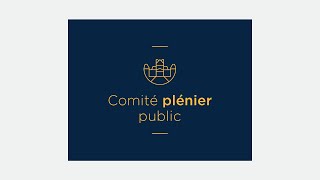 Comité plénier public du 14 mai 2024 [upl. by Ordnasela792]