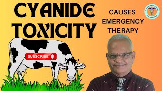 Understanding Cyanide Poisoning in Cattle and Buffalo Causes and Therapy Explained I GNP Sir [upl. by Chirlin328]