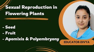 Sexual Reproduction in Flowering Plants I L7  Seed  Fruit  Apomixis  Polyembryony  NEETBiology [upl. by Dwaine58]