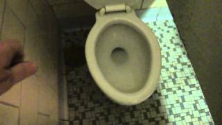 Bathroom Tour Vintage American Standard Toilet and Urinal Natural Bridge Visitor Center Virginia [upl. by Lody]