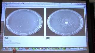 45 Biochemistry DNA Repair  Transcription I Lecture for Kevin Aherns BB 451551 [upl. by Orfield]