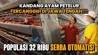 AYAM PETELUR POPULASI 32000 SERBA OTOMATIS CUMA BUTUH 3 ABK   Tandang ke Kandang Eps 1 [upl. by Ynolem]