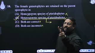 The female gametophytes are retained on the parent sporophyte in [upl. by Fair981]