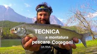 vi spiego COME PESCARE I COREGONI da riva📚📖📚TUTORIAL [upl. by Garrik]