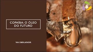 Copaíba  O Óleo do Futuro com Yan Oberlaender [upl. by Kcirddehs]