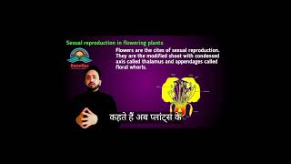 Sexual Reproduction In Flowering Plants Class 12th [upl. by Nirac108]