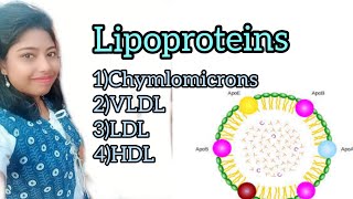 Shortcut s to lipoproteins structure function amp metabolism [upl. by Stretch]