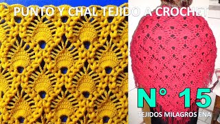 Punto tejido a crochet y Chal N° 15 en V tejidos a crochet en puntos arañitas y garbanzos [upl. by Yllim]