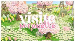 🌷🌼✨ JAI TERMINÉ MON ILE MIRABELLE  ✨🌼🌷 Thème  SpringCore Fleuri  Animal Crossing New Horizons [upl. by Abram691]