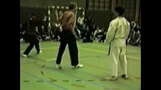 Pencak Silat VS Karate [upl. by Asilrac]