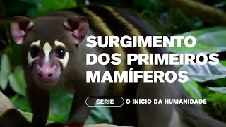 Surgimento dos Primeiros Mamíferos  Episódio 4 da Série O Inicio da Humanidade [upl. by Eiduj]