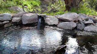 Artesian Well in Walnut Canyon [upl. by Orel756]