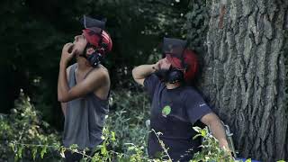 ELAGAGE amp ABATTAGE PAR DEMONTAGE D’ARBRES AUX ABORDS D’UN COURS D’EAU  Groupe Holtzinger [upl. by Enirok]