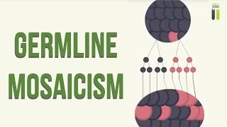 Mosaicisms  Part 1  Germline Mosaicism [upl. by Adnol]