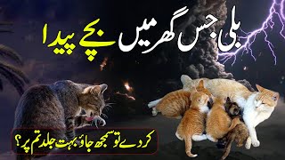 Beli Jis Ghar Bachy Peda Kary Wahan Kia Hota Hai – Pyaara Islam [upl. by Nairoc]