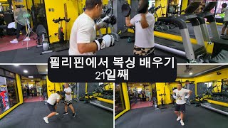 필리핀에서 복싱 배우기 21일째 필리핀 클락앙겔레스 풀빌라 풀빌라펜션 골프골프투어카지노스포츠복싱 [upl. by Alarice120]