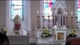 ordination homily [upl. by Ynohtna135]