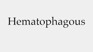 How to Pronounce Hematophagous [upl. by Bondon]