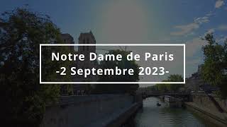 The Reconstruction of Notre Dame de Paris  2 SEPT 2023 4K [upl. by Einimod26]