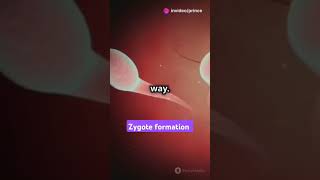 Zygote formation facts science neetreproduction [upl. by Ihskaneem]