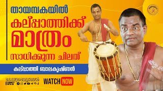 ബാലകൃഷ്ണേട്ടന് മാത്രം പറ്റുന്ന ചിലത്😇❤️👌  Chenda Thayambaka by Kalpathy Balakrishnan [upl. by Cohdwell]