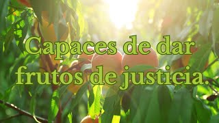 Capaces de dar frutos de justiciaEvangelio del día [upl. by Gorden]