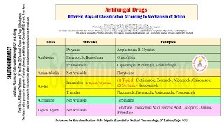 Microbiology 81  Classification of Antifungal Drugs  Mechanism of Action of Antifungal Drugs [upl. by Yrailih]