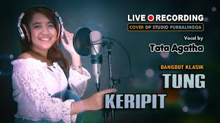 TUNG KERIPIT H Rhoma Irama DANGDUT COVER by Tata Agatha [upl. by Vick222]