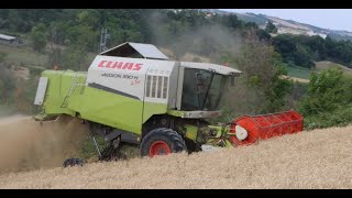 Claas Medion 330H 4Trac Az Agr Flli Di Nicola Harvest Season 2021 [upl. by Lorimer511]