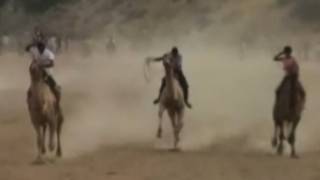 Festival hosts camel races in India [upl. by Fenton873]