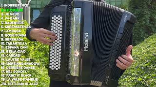 BEST ACCORDION MUSIC BY ACCORDIONMAN 1 HOUR [upl. by Asilef]