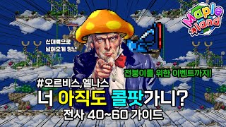 더 이상 콜팟을 가지마 메이플랜드 전사 4060 뉴 사냥터 가이드  전사들을 위한 소소한 이벤트 [upl. by Guinn]