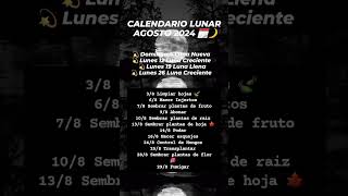 CALENDARIO LUNAR AGOSTO 2024 🗓🌙eljardincitodemel jardin huerta huerto calendariolunar agosto [upl. by Nazar]