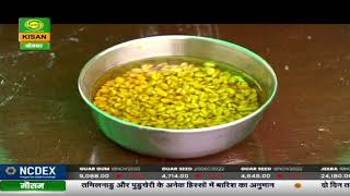 Chhat Par Bagwani  how to prepare your vegetable amp flower graden for winter  छत पर बागवानी [upl. by Alburga]