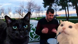 Ievan Polkka Official Video HD  Cat Cover  CATe [upl. by Edson]