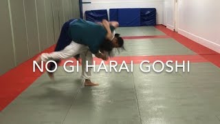 No Gi Judo throw Harai goshi [upl. by Bascomb]