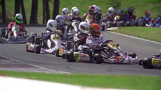 Go Kart Racing is a Professional Sport [upl. by Burford]