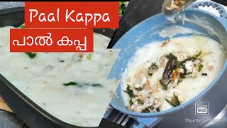 How to make Paal kappa  Paal kappa  Kerala Paal kappa recipe  Tapioca Tapioca in coconut milk [upl. by Yllah]