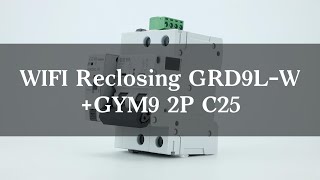 WIFI Reclosing GRD9LWGYM9 2P C25 [upl. by Ruby525]