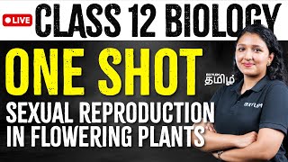 One Shot  Class 12  Sexual Reproduction in Flowering Plants  Xylem NEET Tamil [upl. by Dempster408]