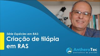 Produção de tilápia em RAS I Série Espécies em RAS [upl. by Flyn]