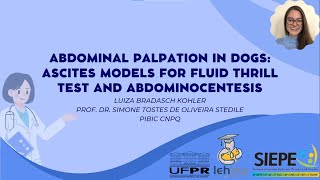 30º EVINCI  Abdominal Palpation in Dogs ascites models for fluid thrill test and abdominocentesis [upl. by Yvor]