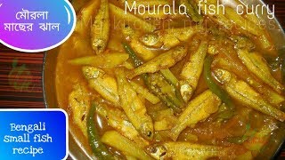 Mourola macher jhal  Bengali small fish recipe  How to cook Bengali style small fish curry [upl. by Eirhtug]