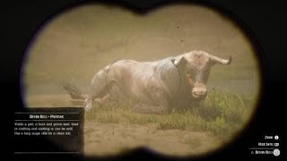 Red Dead Redemption 2  RDR2  DEVON BULL  LOCATION  ZOOLOGIST 15 [upl. by Flavio]